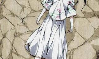 甲申之乱真相及宝宝身世