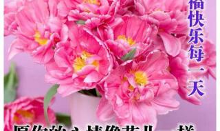 微信一千多人怎么群发