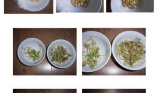 黄豆七天生长过程记录