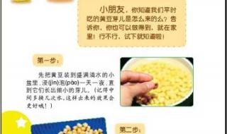 黄豆七天生长过程记录