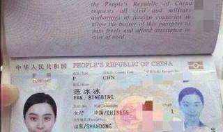 去新加坡需要什么手续