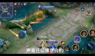 辅助排序分是什么意思