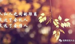 能让你湿到不行的句子